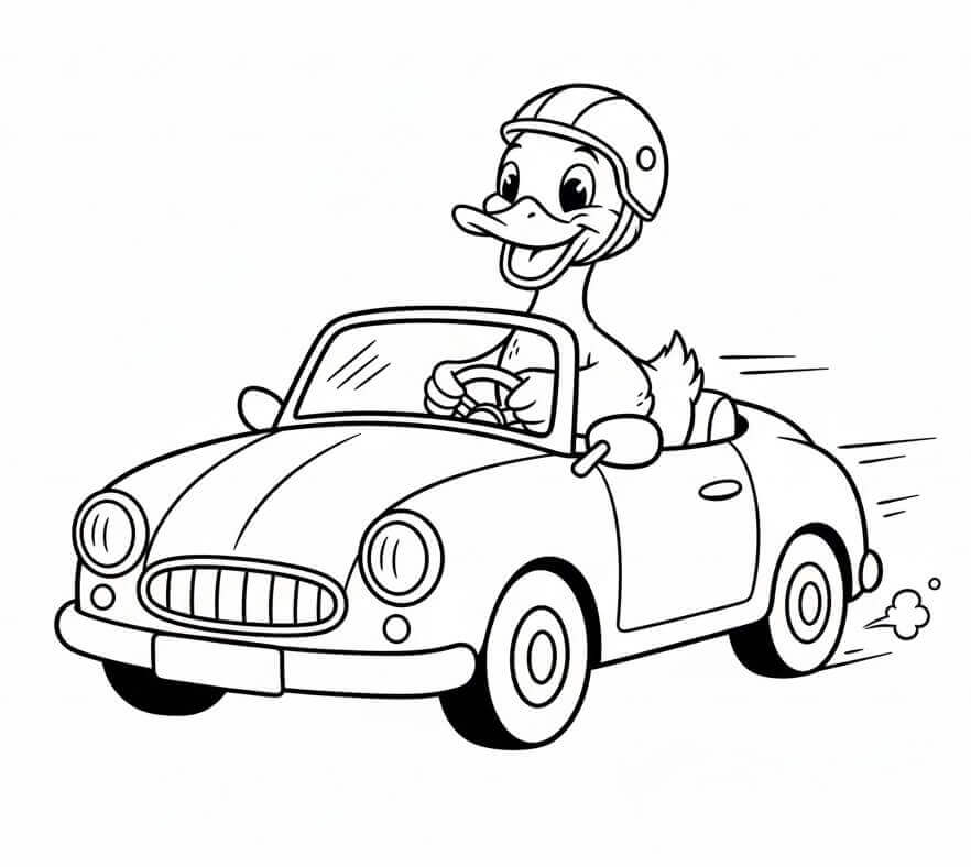 Anatra alla Guida da colorare