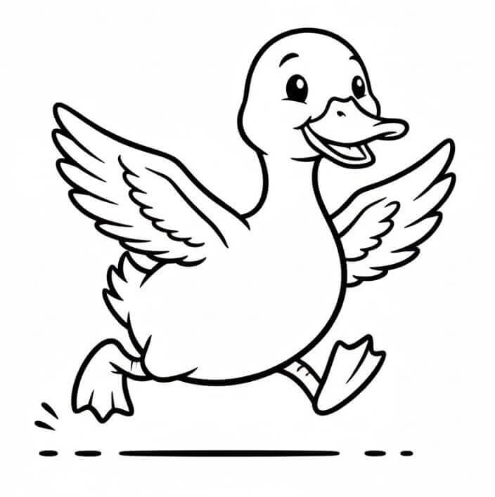Anatre da colorare