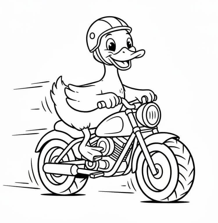 Anatra in Moto da colorare