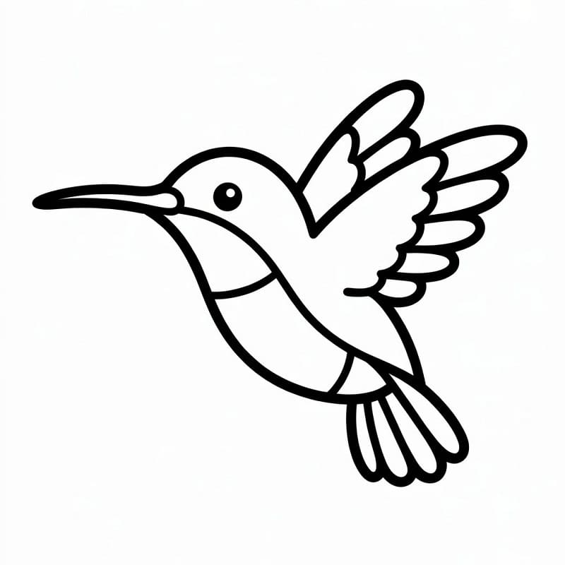 Colibrì Animato da colorare