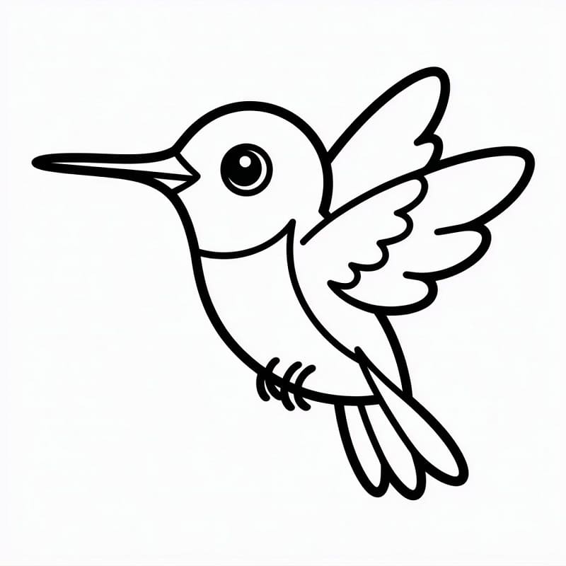 Colibrì Facile da colorare