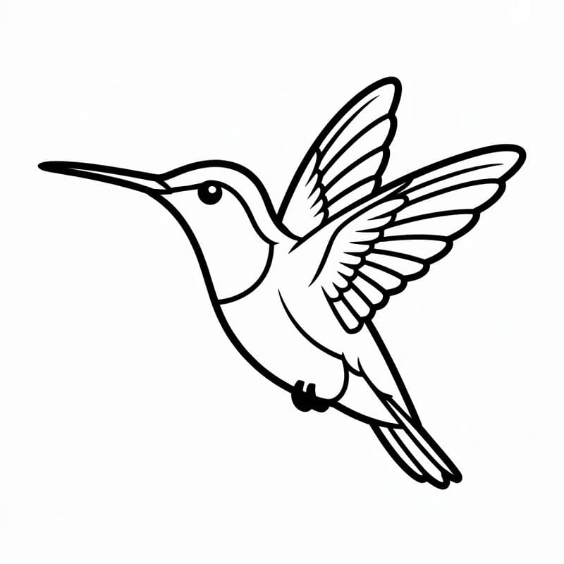 Colibrì Gratis Stampabile da colorare