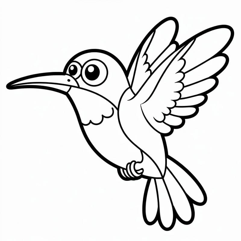 Colibrì Immagine Gratis da colorare