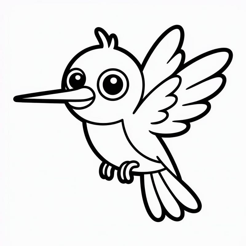 Colibrì Immagine Stampabile da colorare