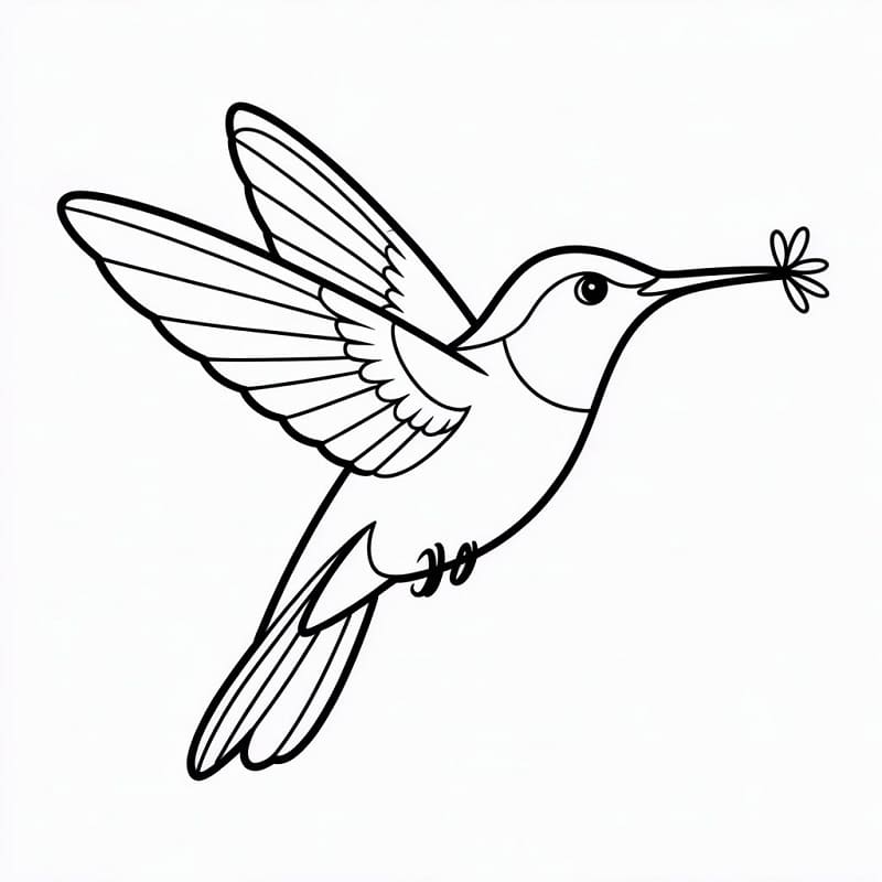 Colibrì Incantevole da colorare