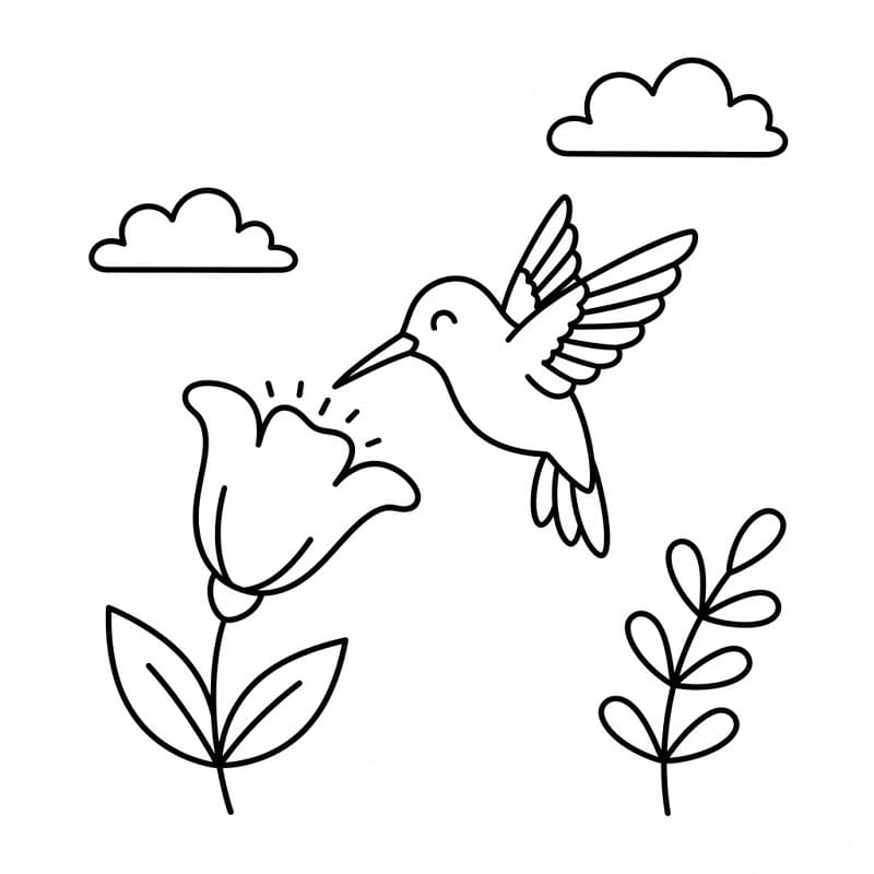 Colibrì Semplice da colorare