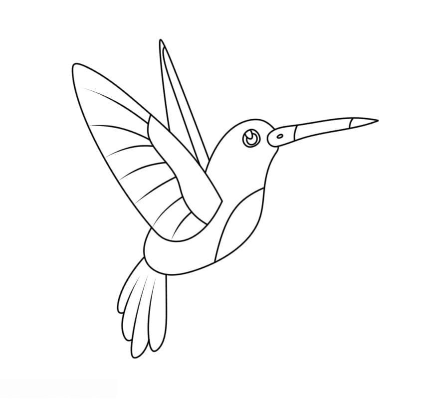 Colibrì Tenerissimo da colorare