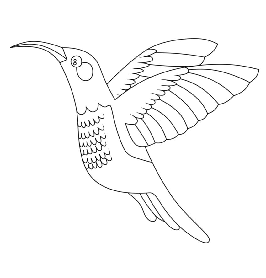 Colibrì Volante da colorare