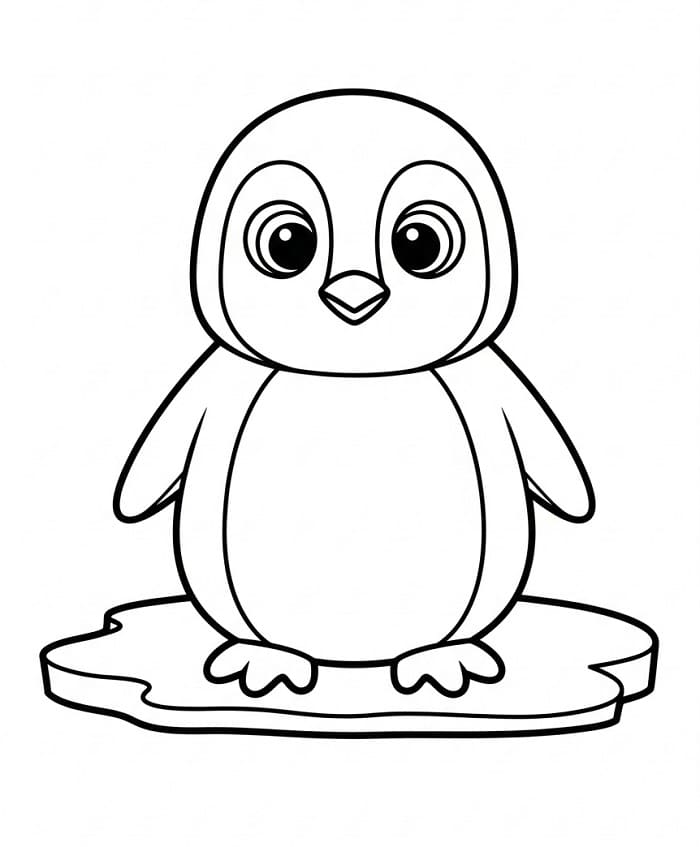 Cucciolo di Pinguino da colorare