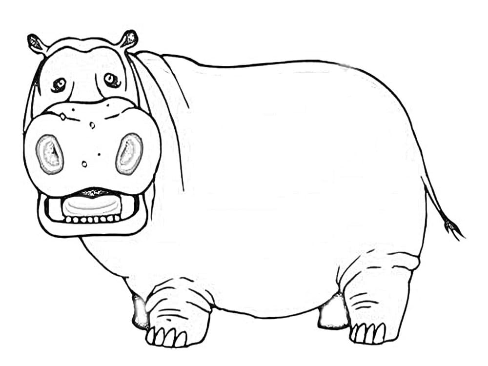 Disegno di ippopotamo da colorare