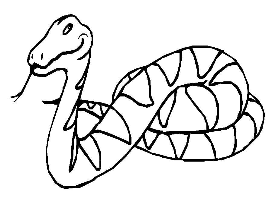 Disegno di serpente da colorare