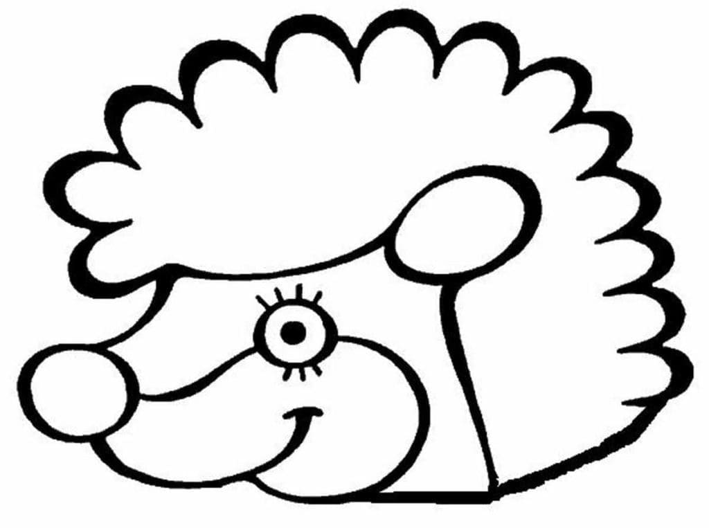 Faccia di Riccio da colorare