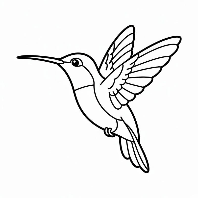 Gratis Colibrì Stampabile da colorare