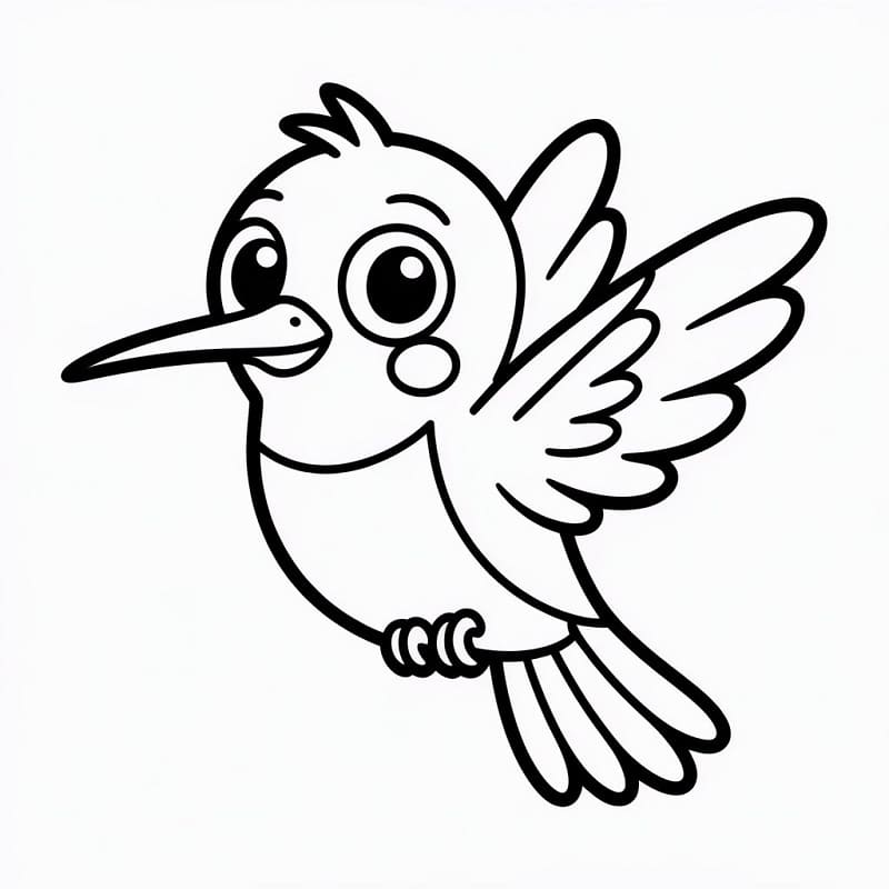 Gratis Colibrì da Stampare da colorare