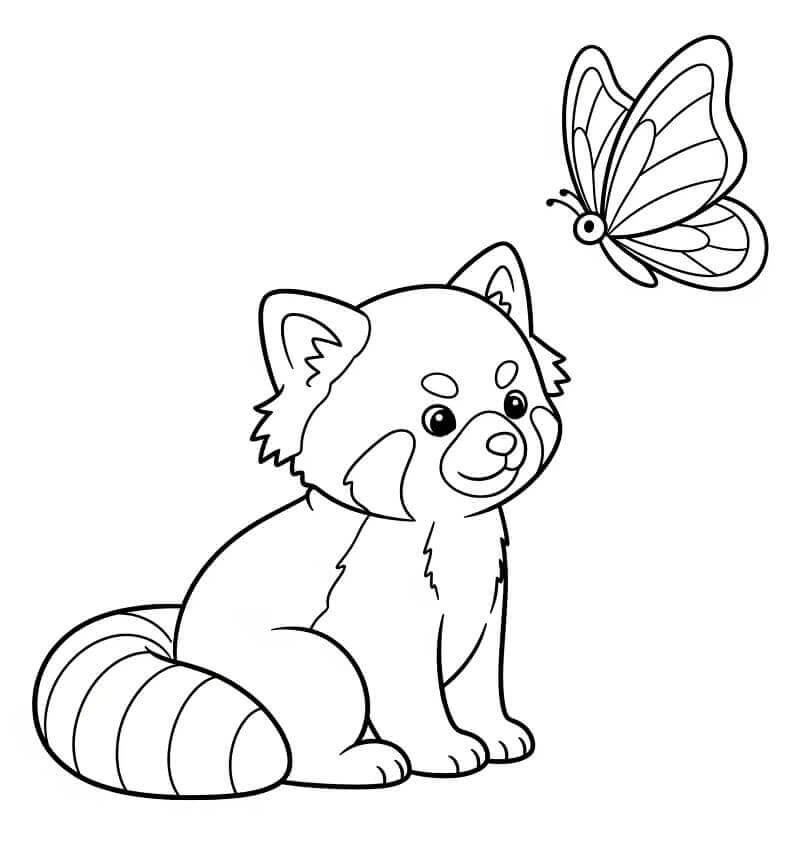 Gratis Immagine Panda Rosso da colorare