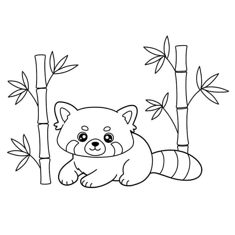 Gratis Panda Rosso Stampabile da colorare