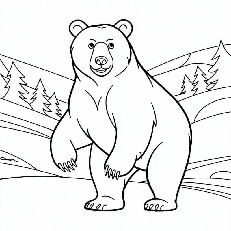 Immagine di Orso da colorare