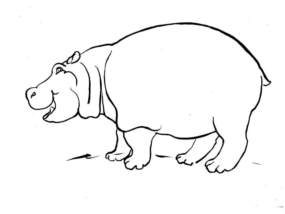Ippopotamo gratuito da colorare