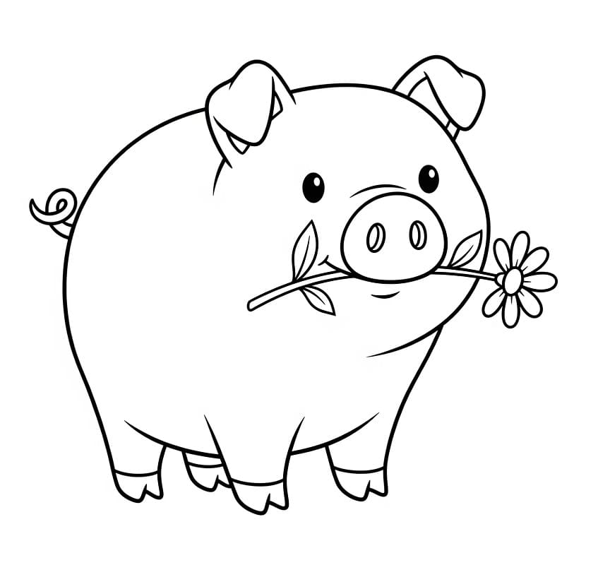 Maiale con un fiore da colorare