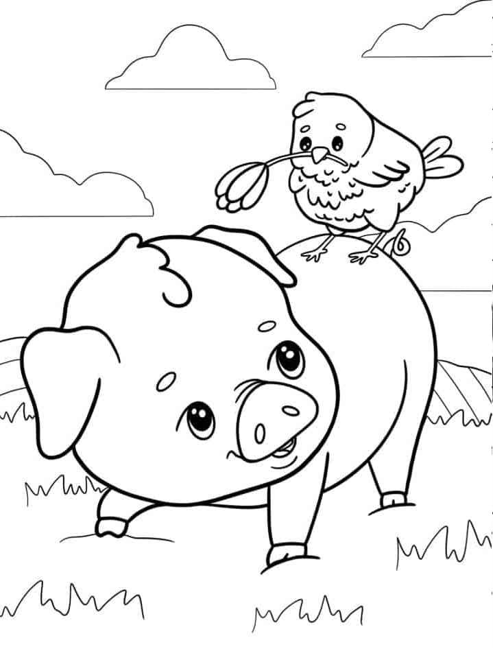 Maiale e pulcino da colorare