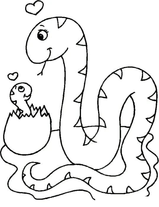Disegni Di Serpenti Da Colorare Per Bambini Paginacolorare