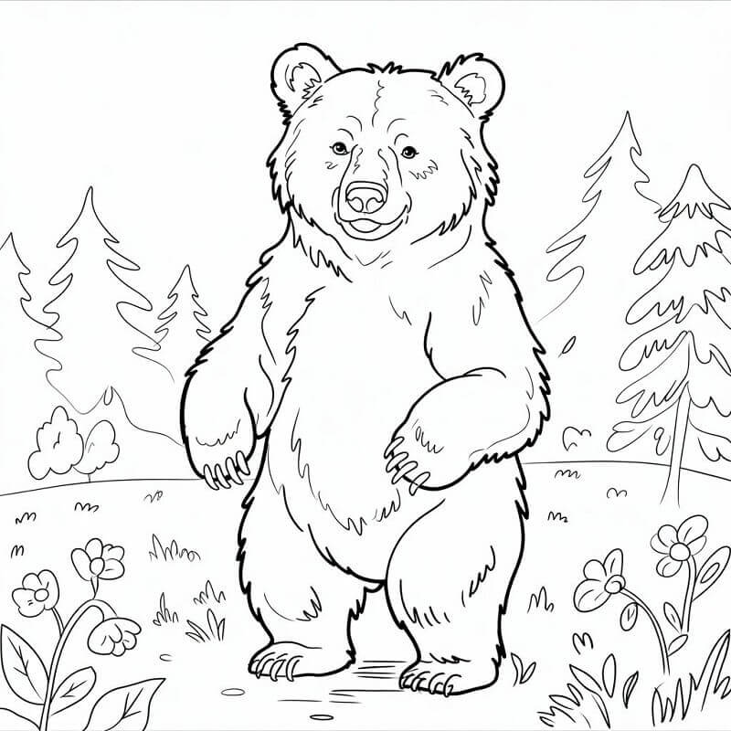 Orso Animale da colorare