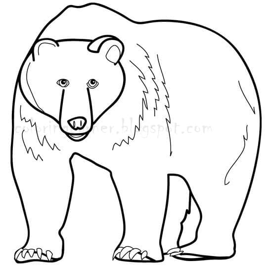 Orso Gratuito da colorare