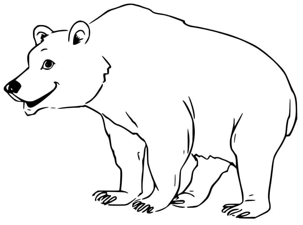 Orso Omaggio da colorare