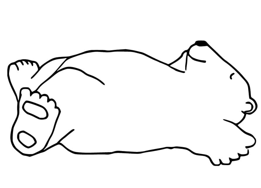 Orso Polare Pigro da colorare
