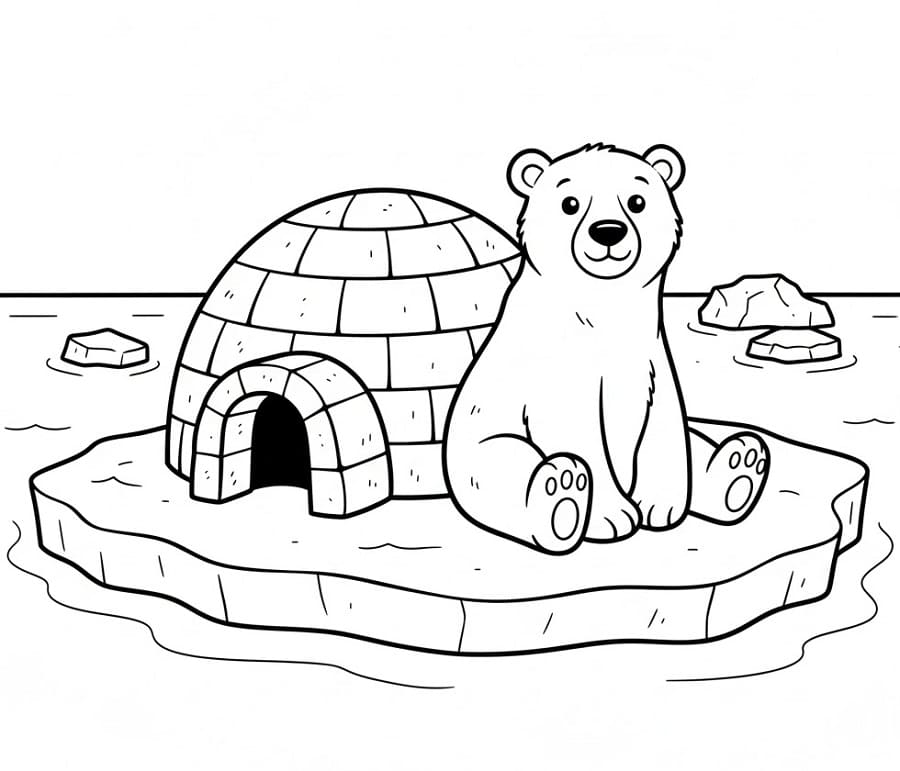 Orso Polare e Igloo da colorare