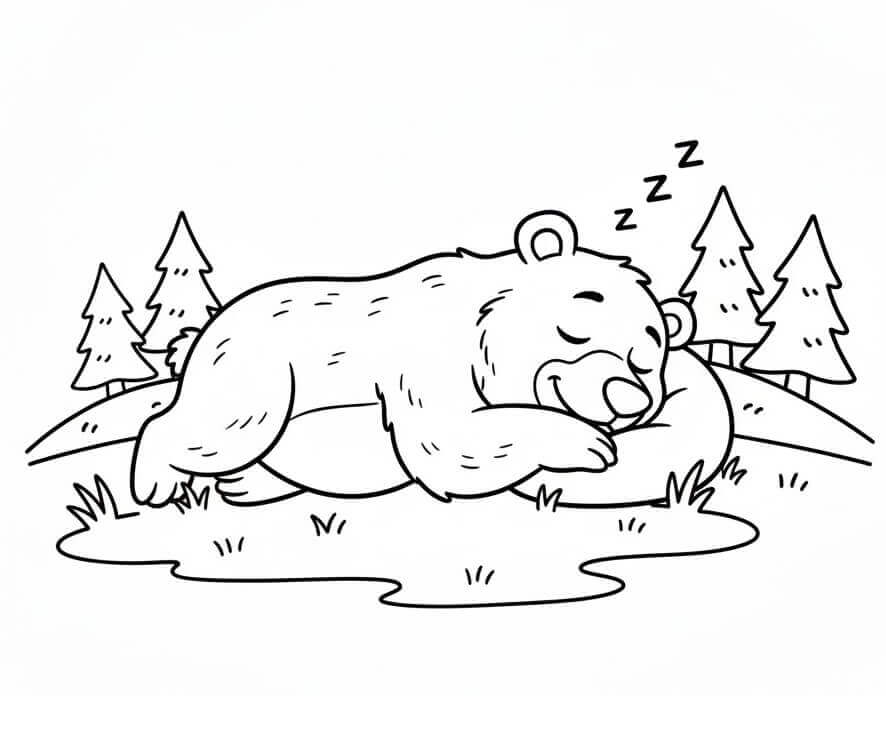 Orso che Dorme da colorare