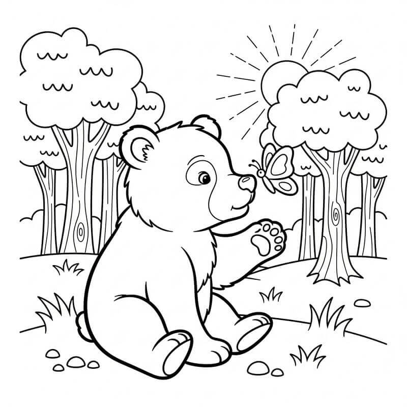 Orso e Farfalla da colorare