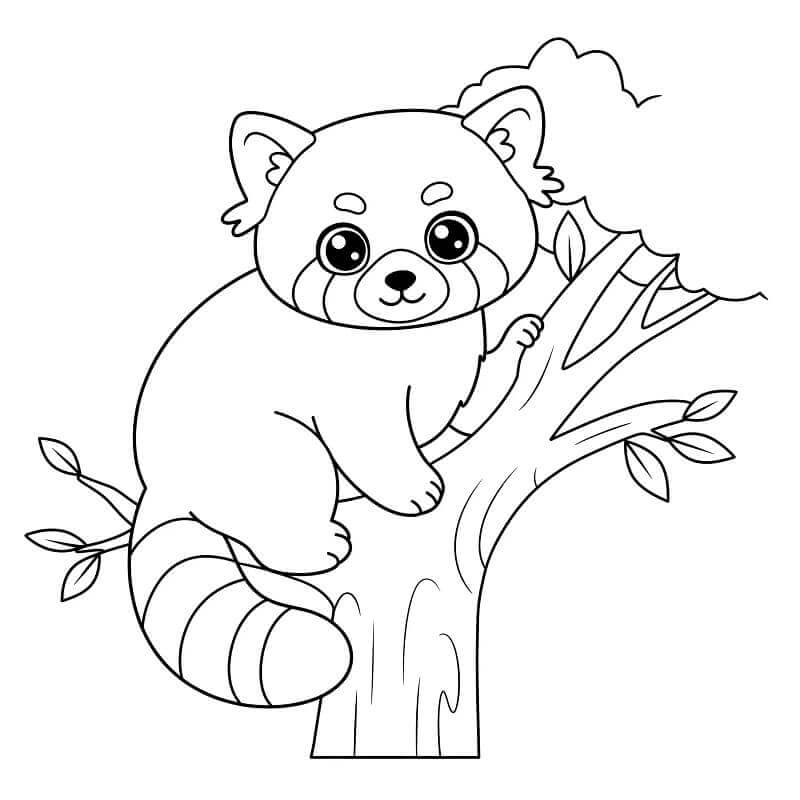 Panda Rosso da colorare