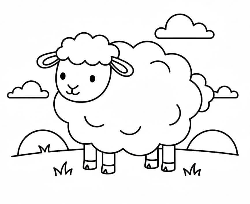Pecore da colorare
