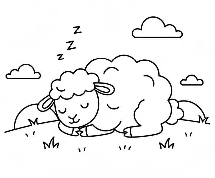 Pecora che Dorme da colorare