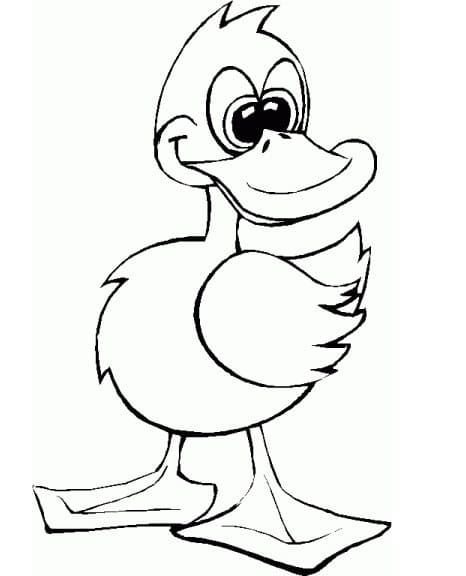 Piccola Anatra da colorare