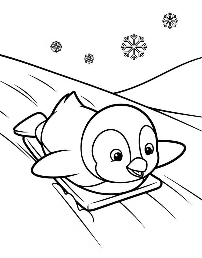 Piccolo Pinguino da colorare