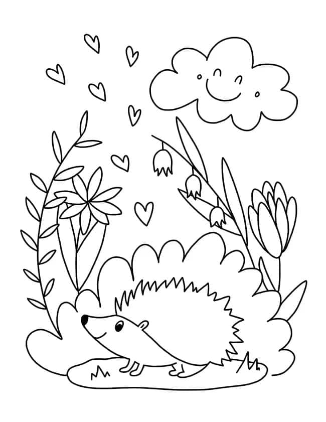 Piccolo Riccio Tenero da colorare