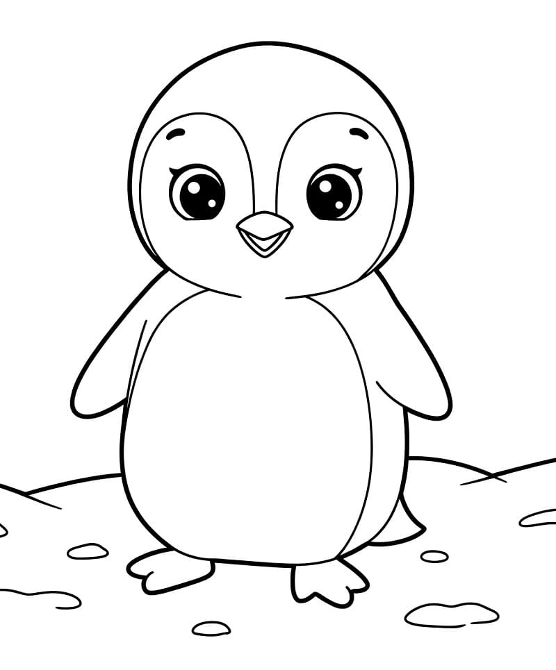 Pinguino Grazioso da colorare