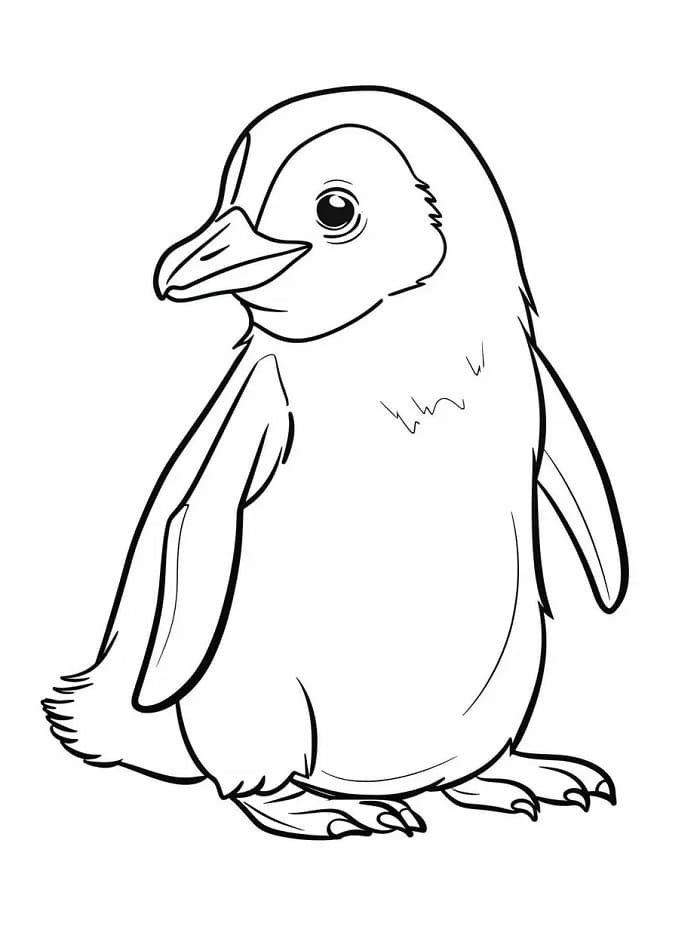 Pinguino Normale da colorare