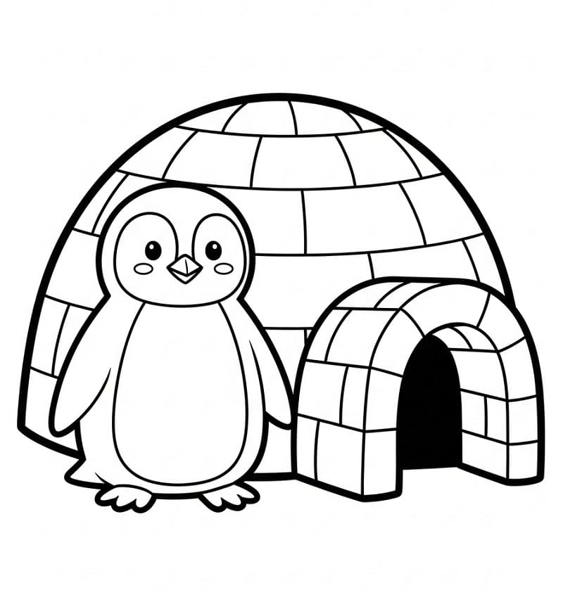 Pinguino e Igloo da colorare