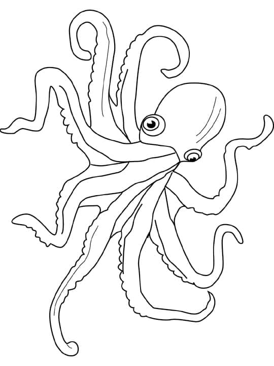 Polpo gigante da colorare