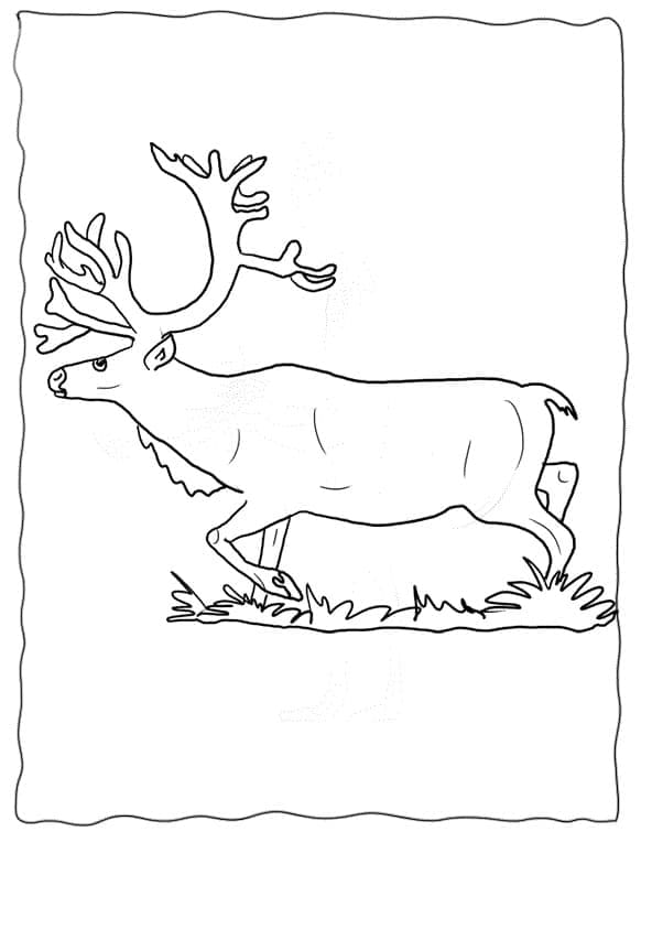 Renna che Corre da colorare