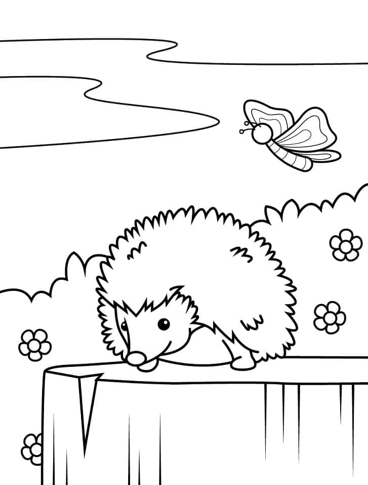 Riccio Carino e Farfalla da colorare