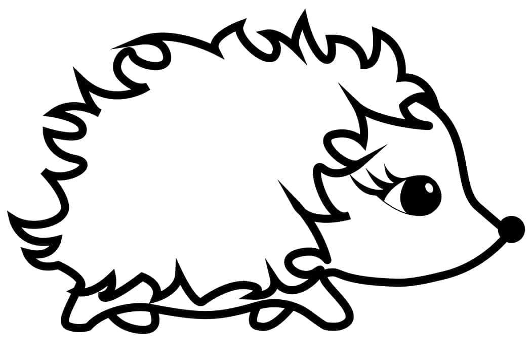 Riccio Grazioso da colorare