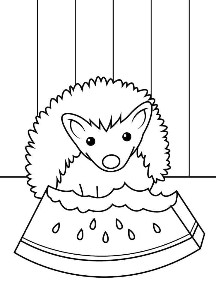 Riccio Mangia Anguria da colorare