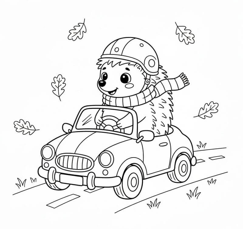 Riccio alla Guida da colorare