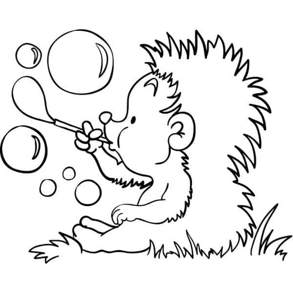 Riccio e Bolle da colorare