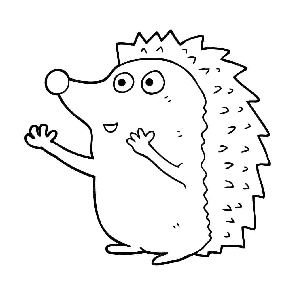 Riccio per Bimbi da colorare