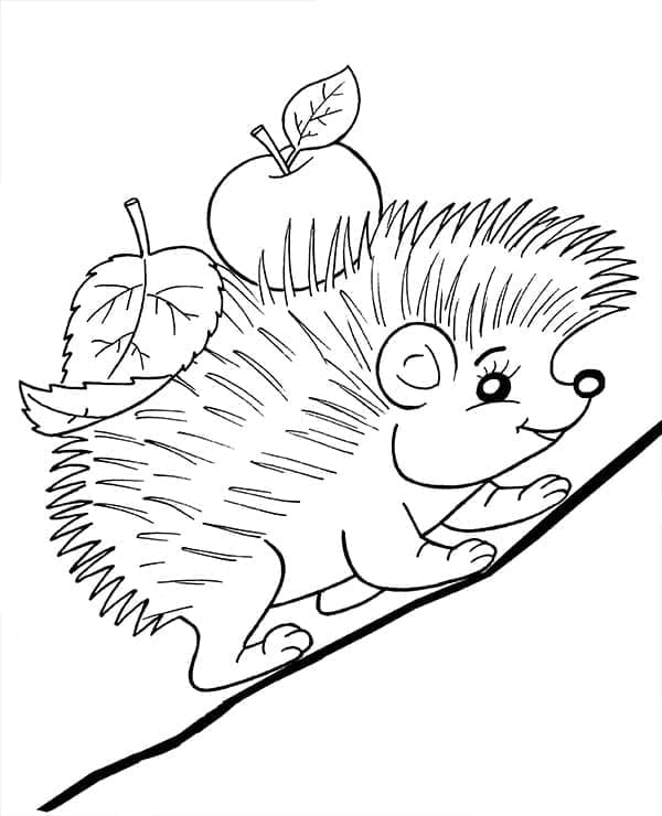 Riccio per Piccoli da colorare